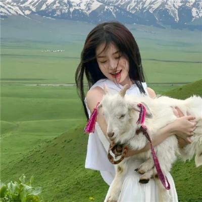 好莱坞食堂