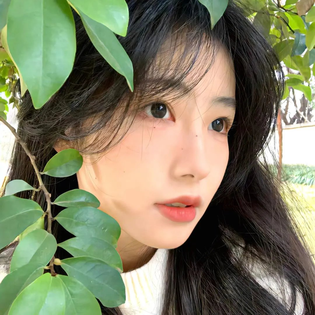 天水围的夜与雾